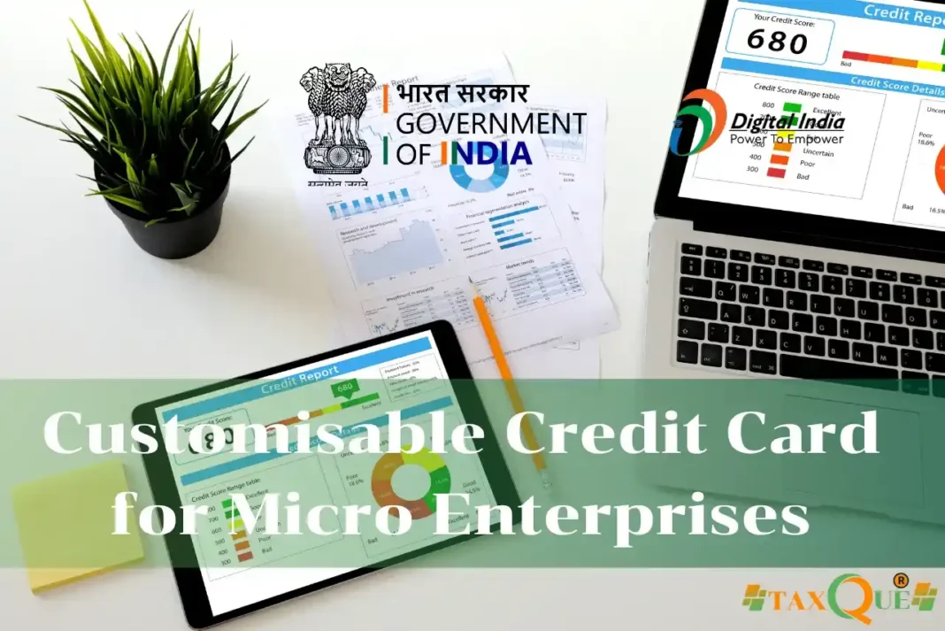 Customisable Credit Card for Micro Enterprises 2025: Easy Credit Access